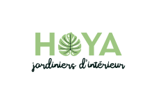 Photo de HOYA Photo de HOYA